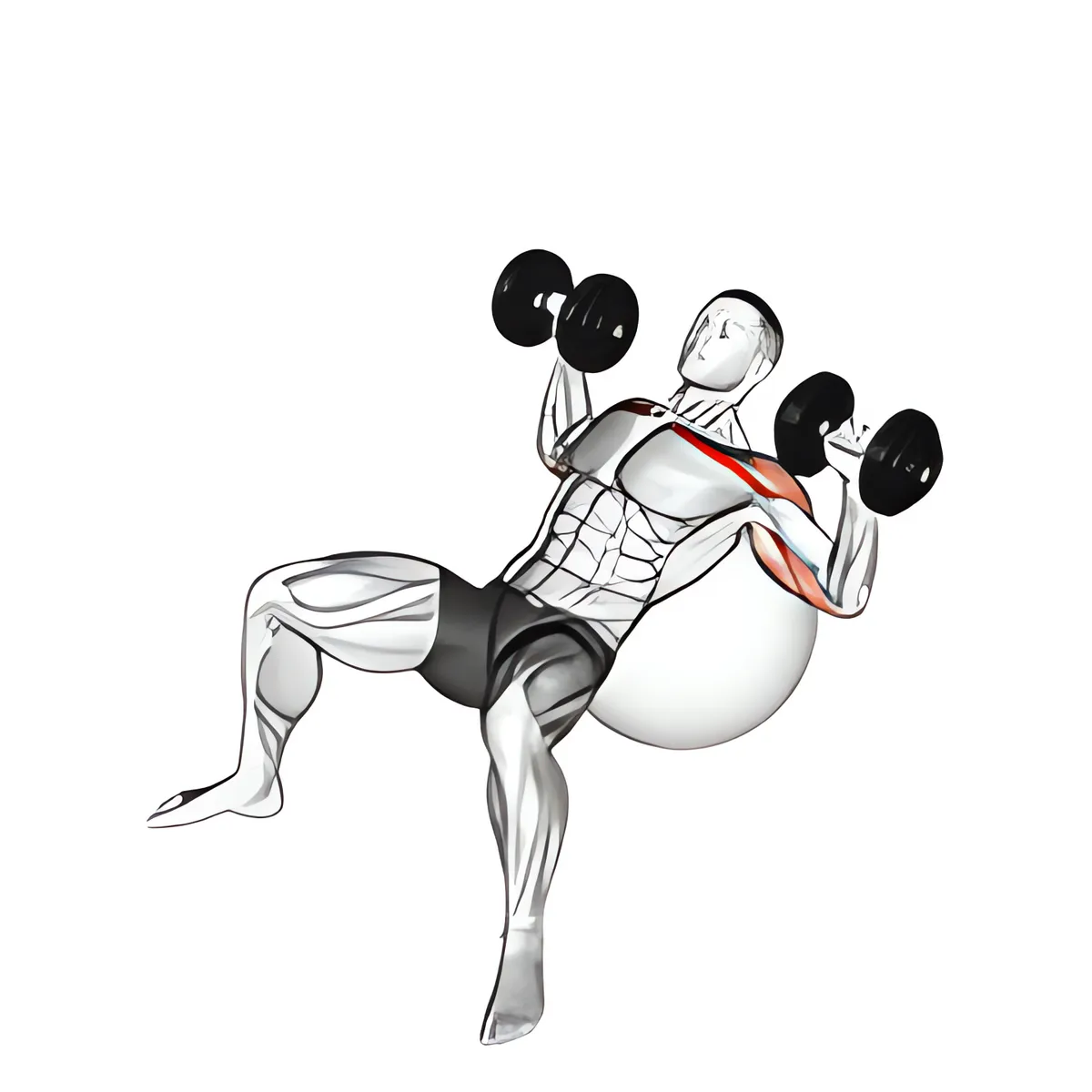 Tạ đơn ghế dốc lên đẩy trên bóng tập