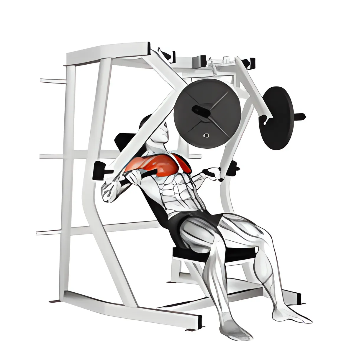 Máy ghế dốc xuống đẩy ngực