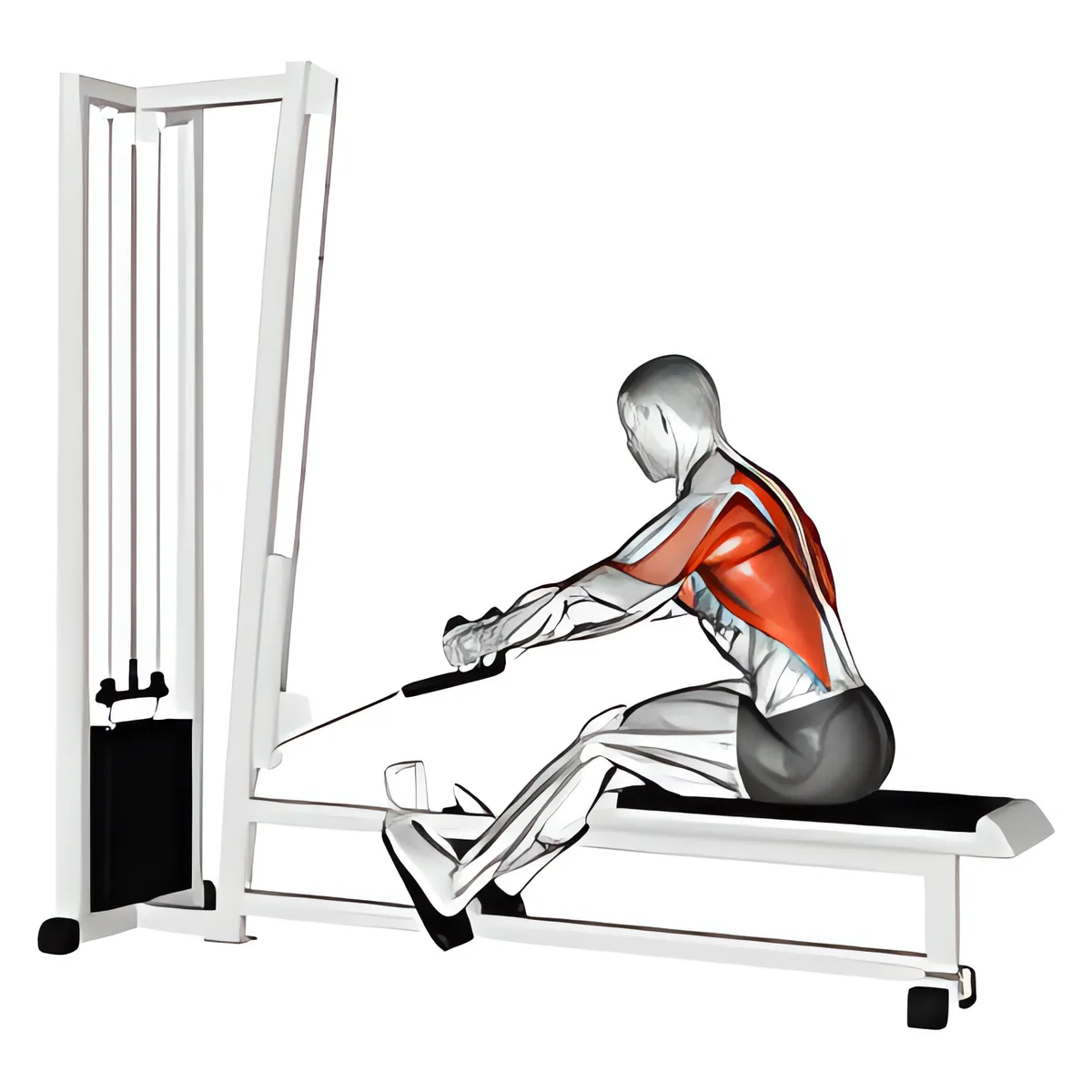 Cáp dây thừng nâng cao kéo ngồi
