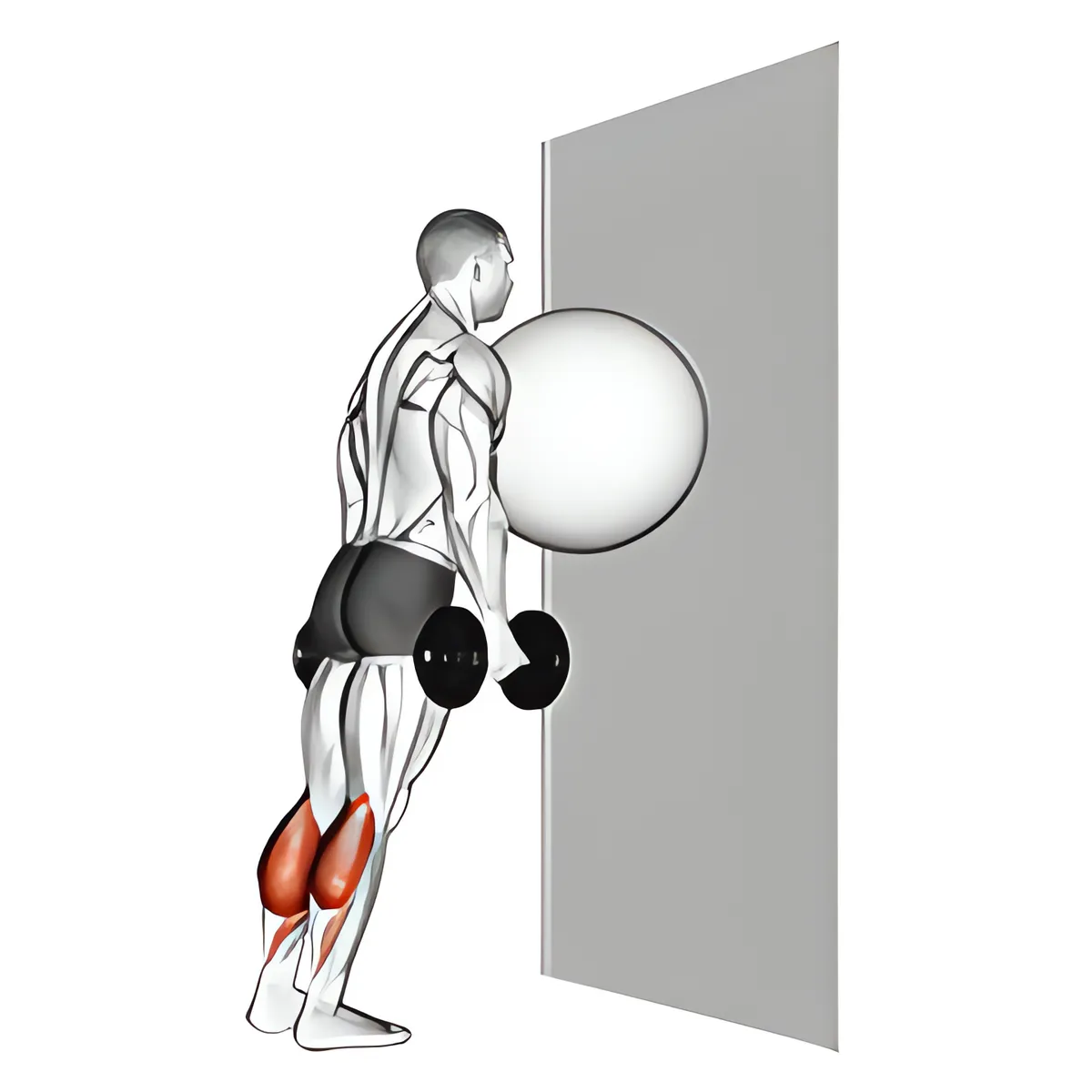 Bóng tập trên tường nhón bắp chân