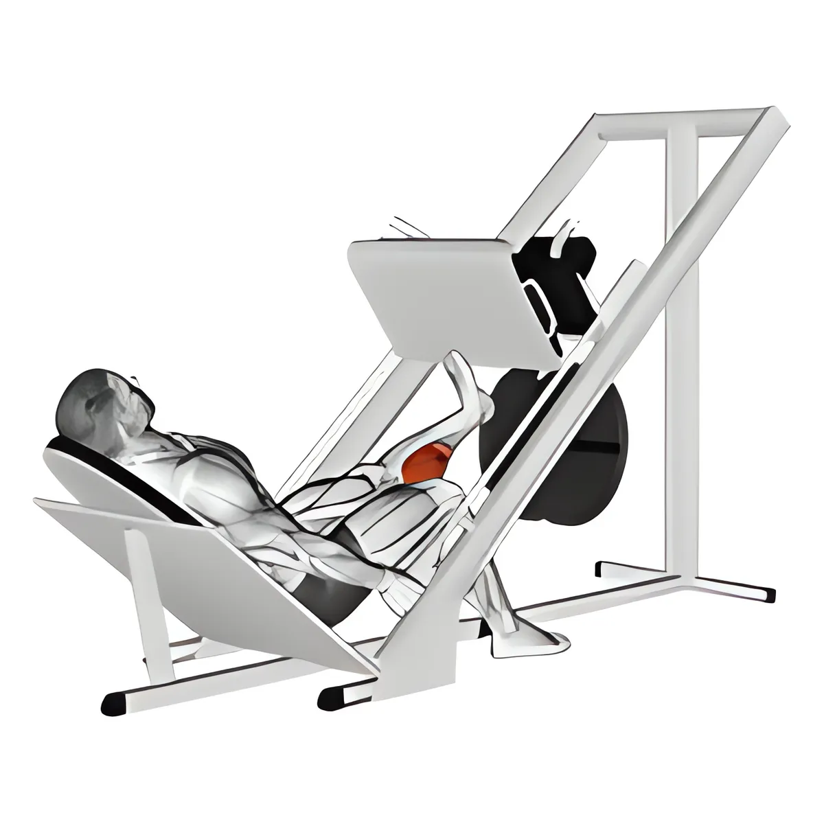 Máy trượt một chân bắp chân đẩy trên chân đẩy