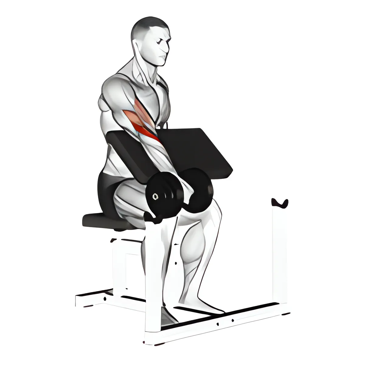 Tạ đơn một tay ngược cuốn tay trước ghế Scott