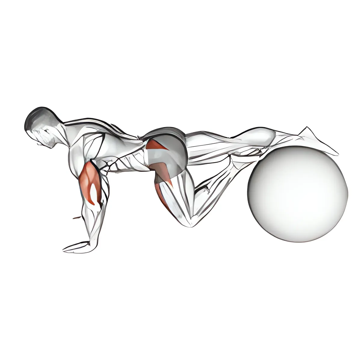 Bóng tập một chân nằm sấp dưới thân người xoay