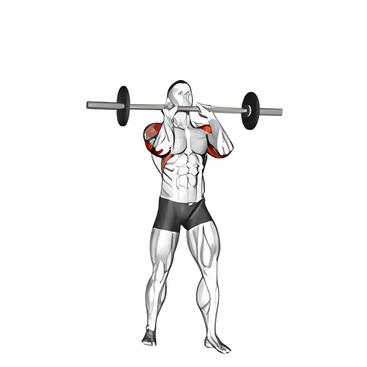 Thanh đòn đứng tay hẹp đẩy vai quân đội