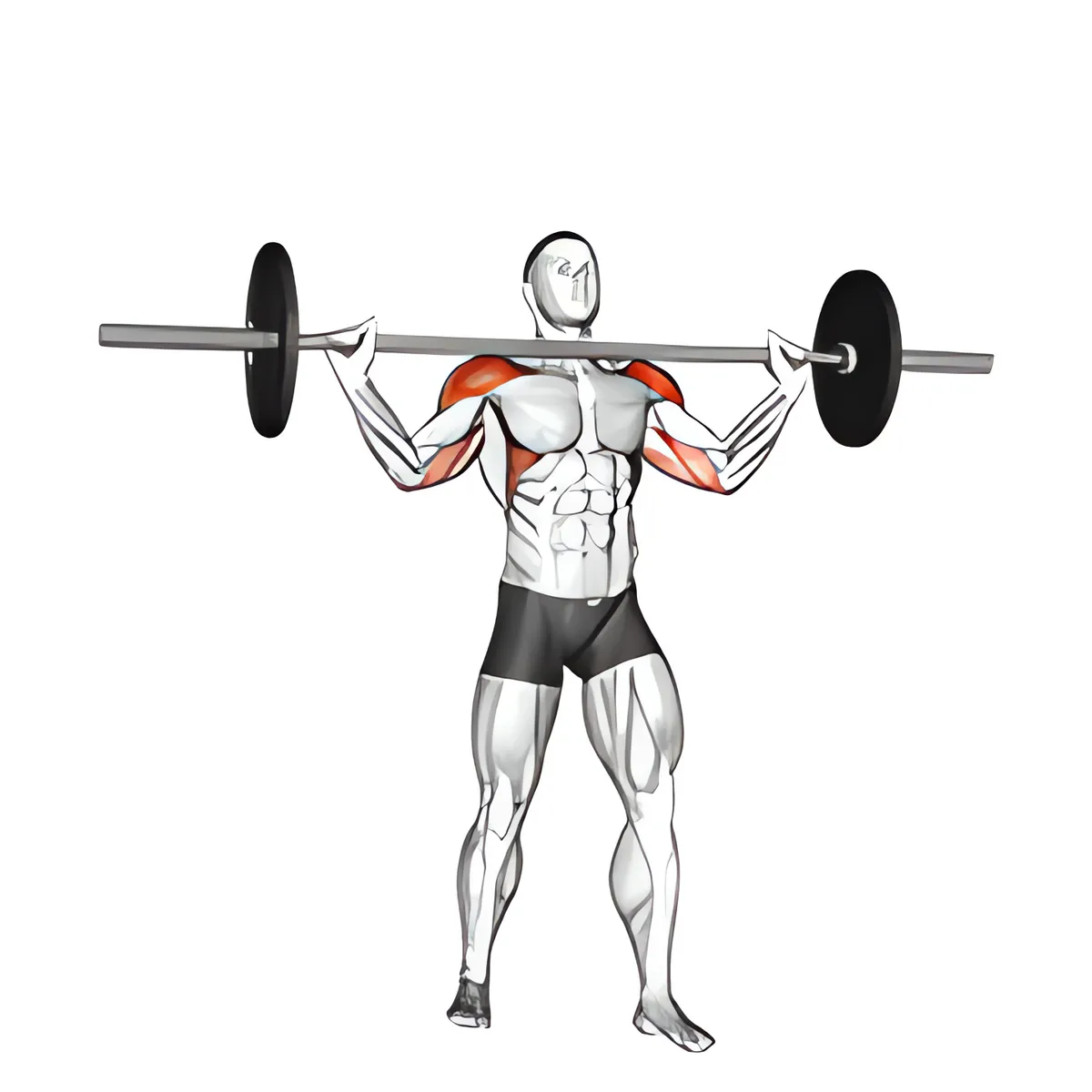 Thanh đòn đứng rộng đẩy vai quân đội
