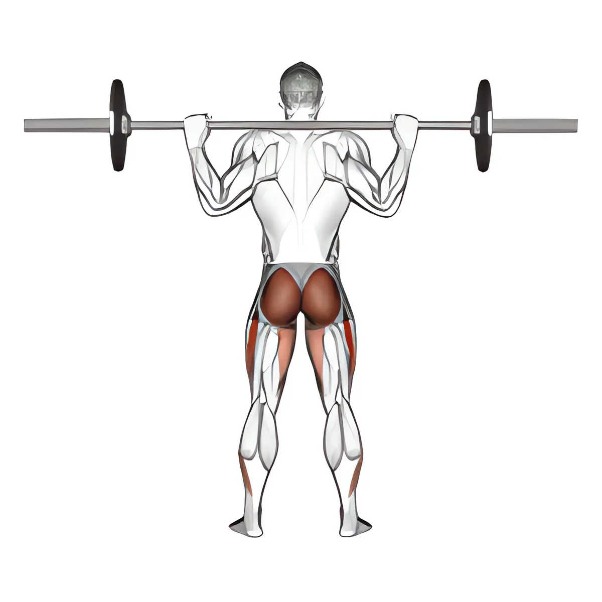 Squat tạ đòn toàn biên độ, góc nhìn sau