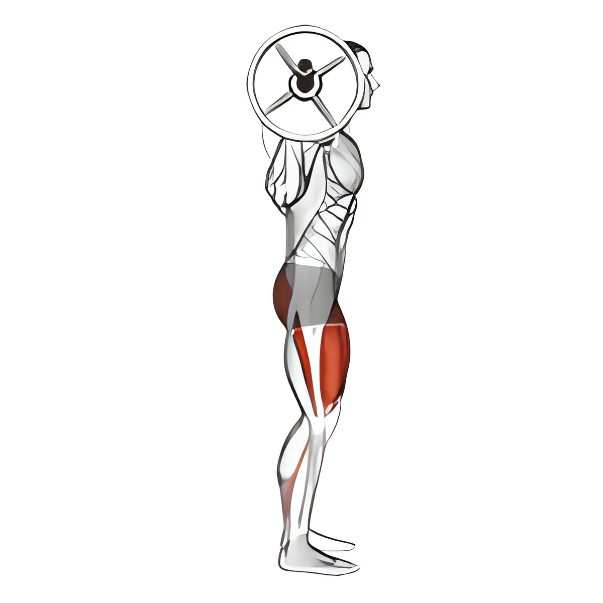 Squat tạ đòn toàn biên độ, góc nhìn bên