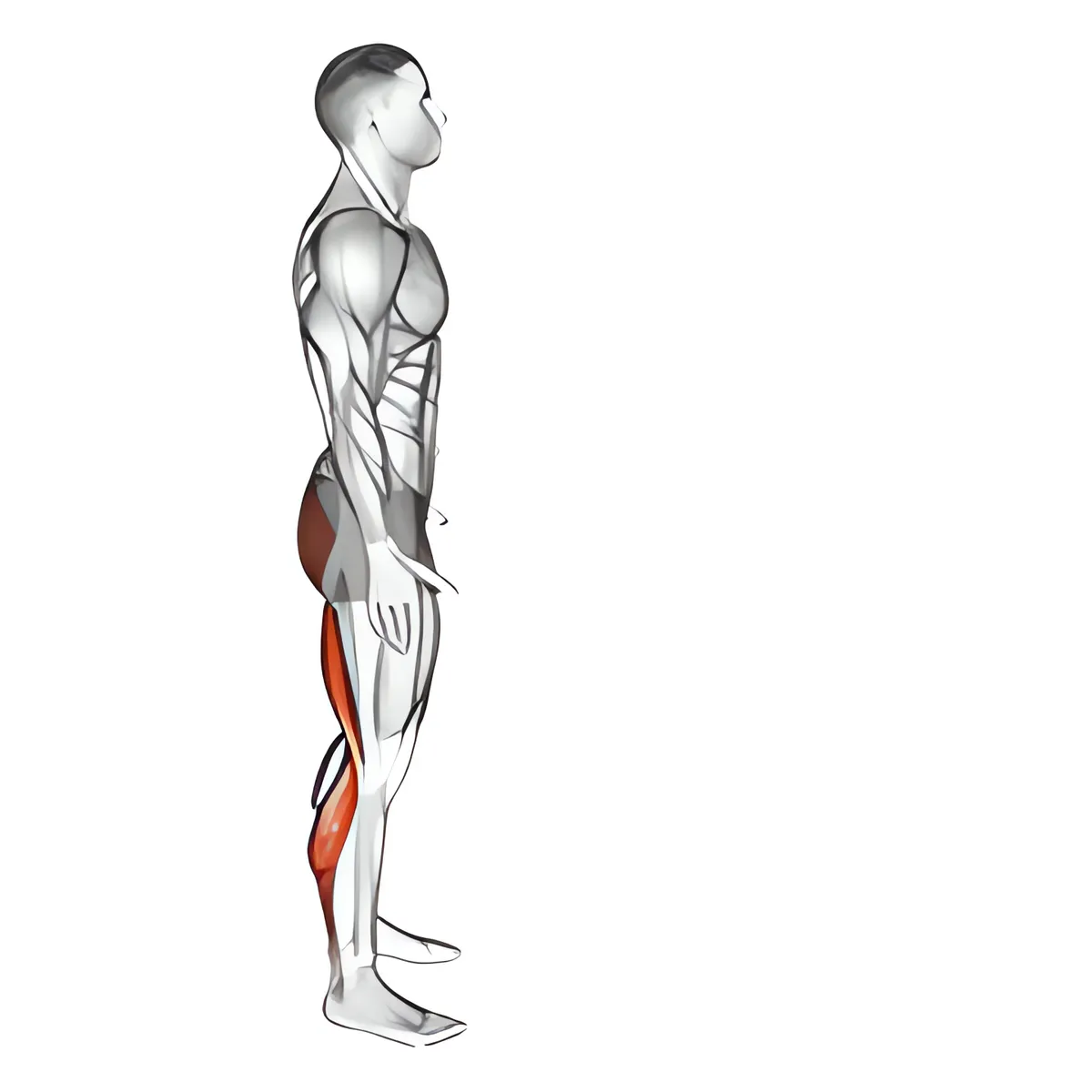 Kéo giãn kiểu vận động viên chạy bộ