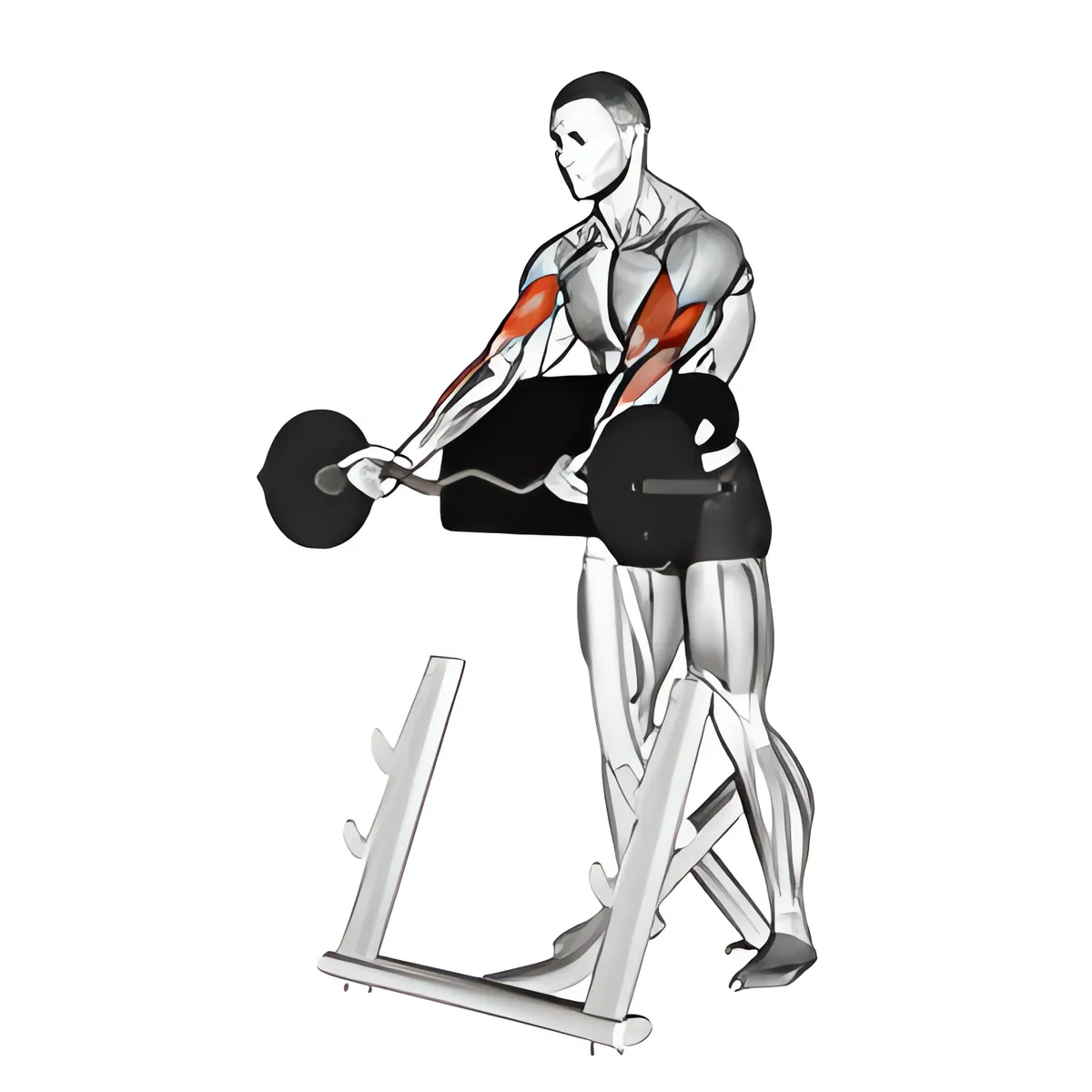 Cuốn tay trước úp ngực trên ghế dốc với thanh EZ, biến thể 2