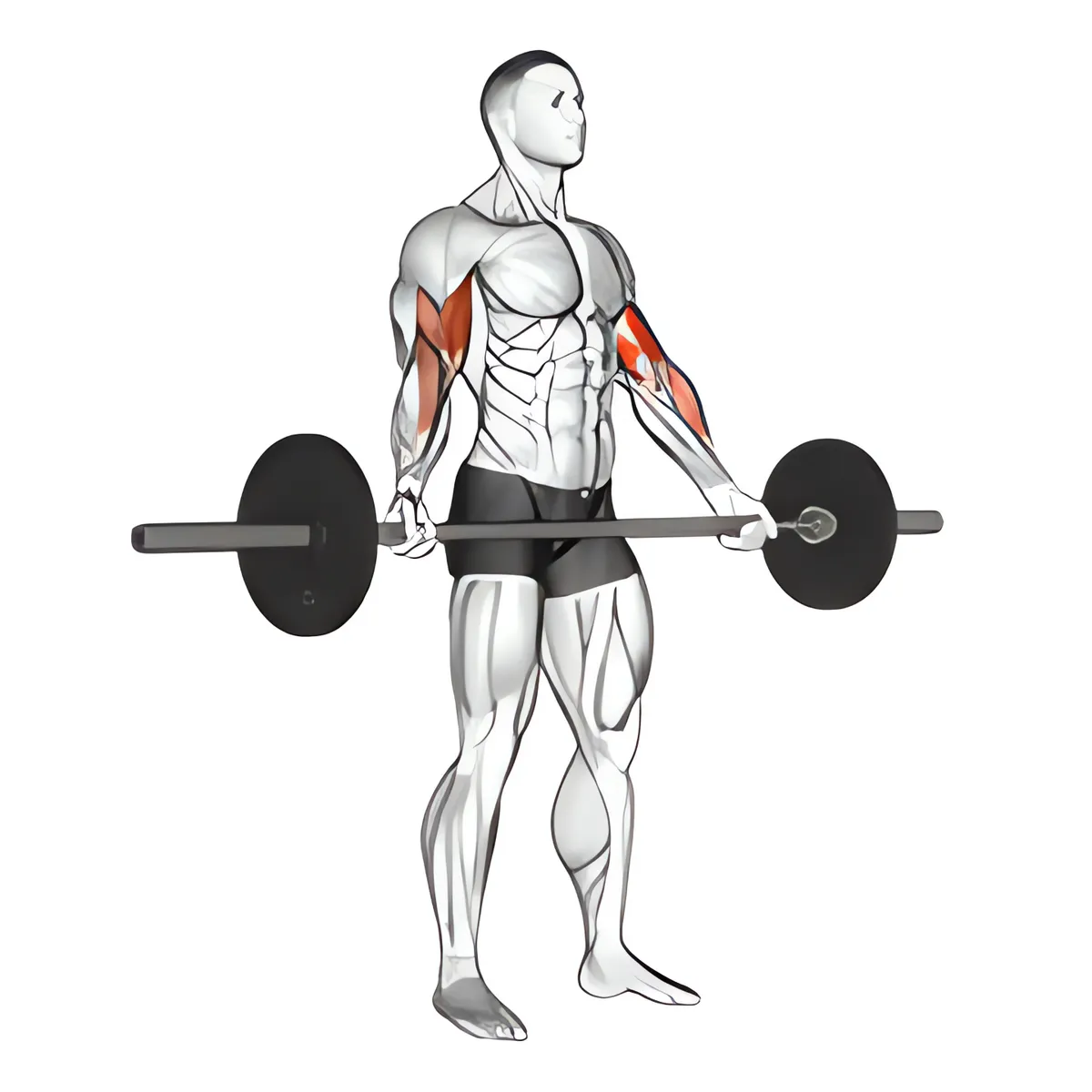 Thanh đòn đứng tay rộng cuốn tay trước