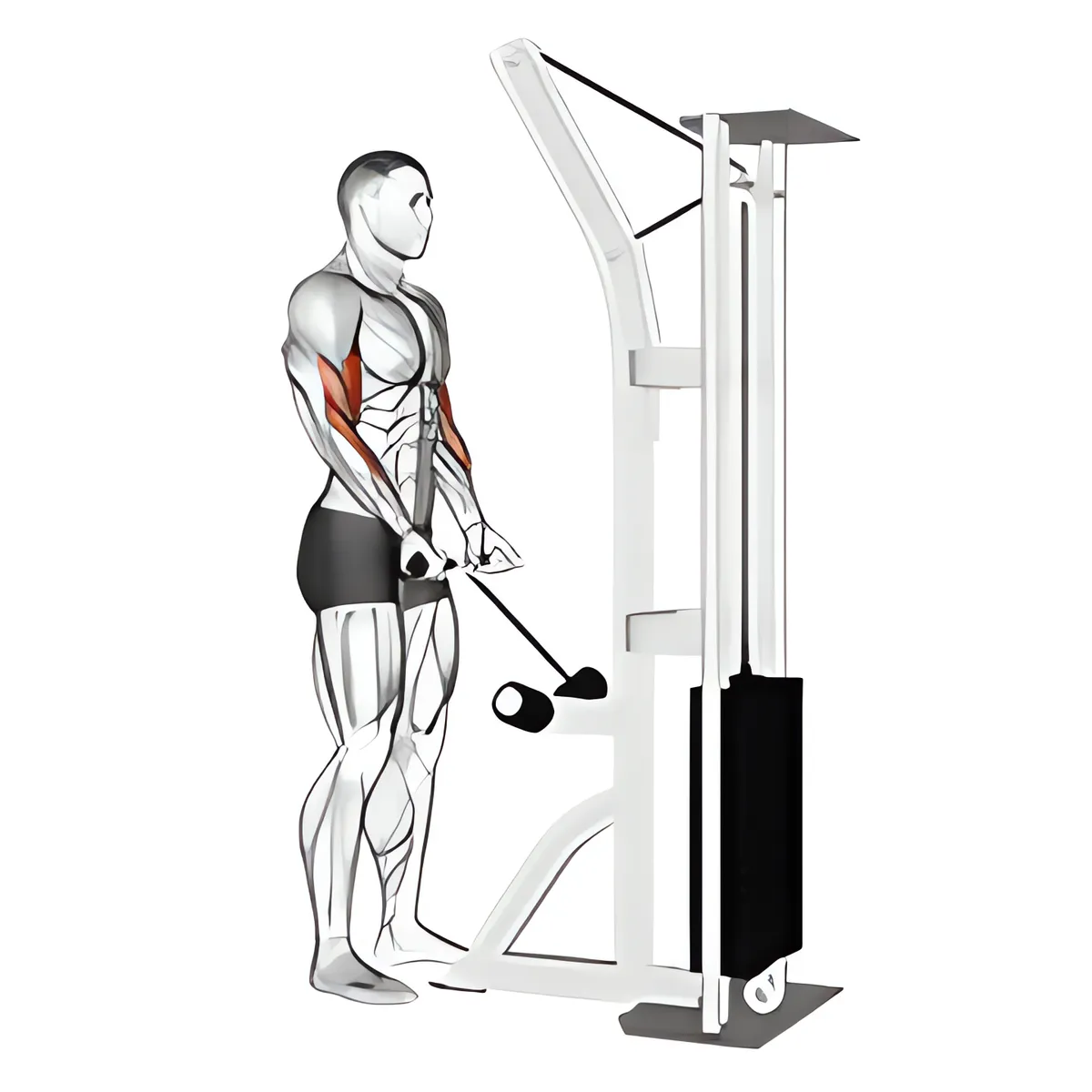 Cáp kéo rê cuốn tạ