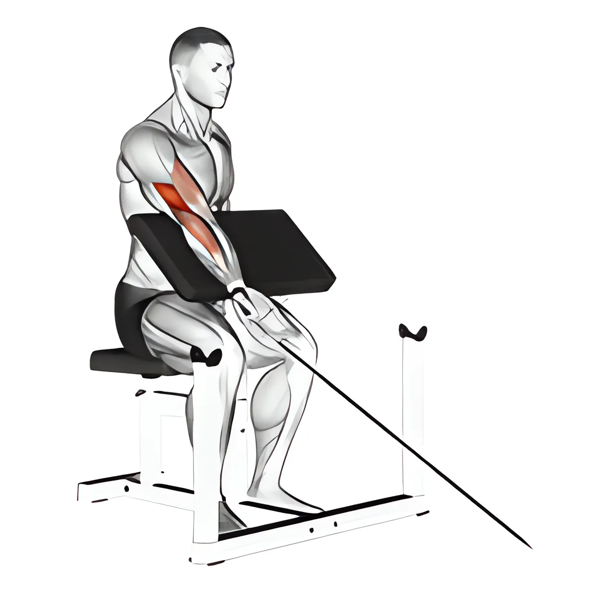 Cáp một tay cuốn tay trước ghế Scott