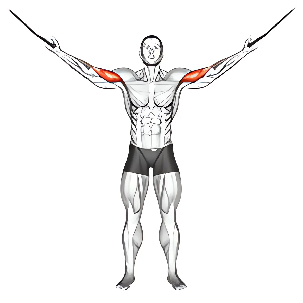 Cáp qua đầu cuốn tạ
