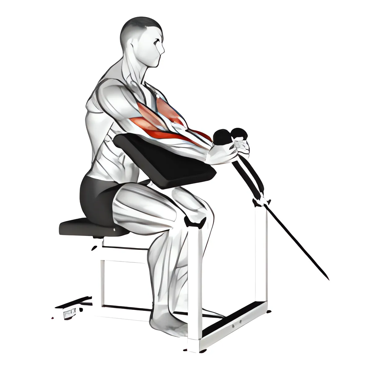 Cuốn búa cáp dây thừng trên ghế Scott