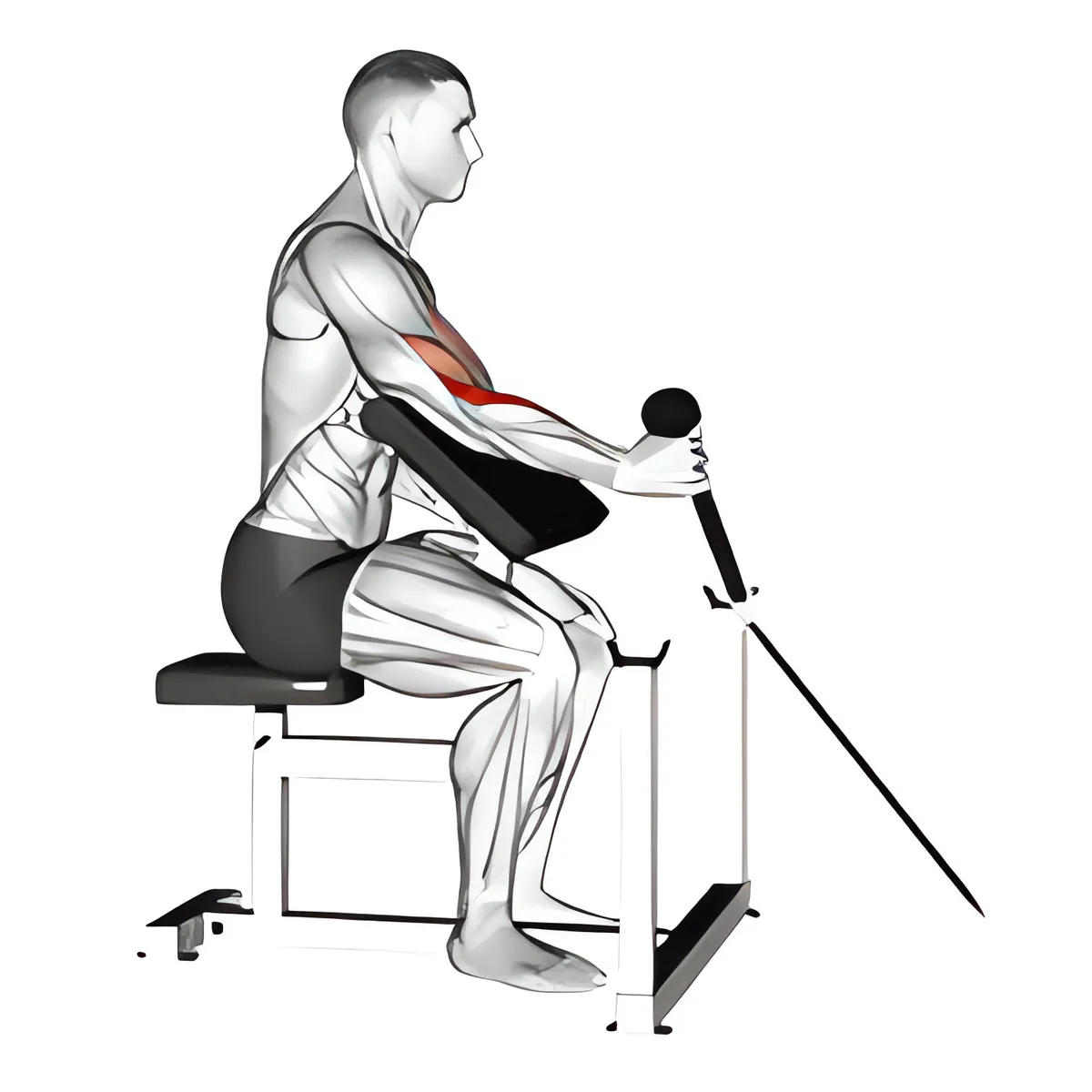Cuốn búa cáp dây thừng một tay trên ghế Scott