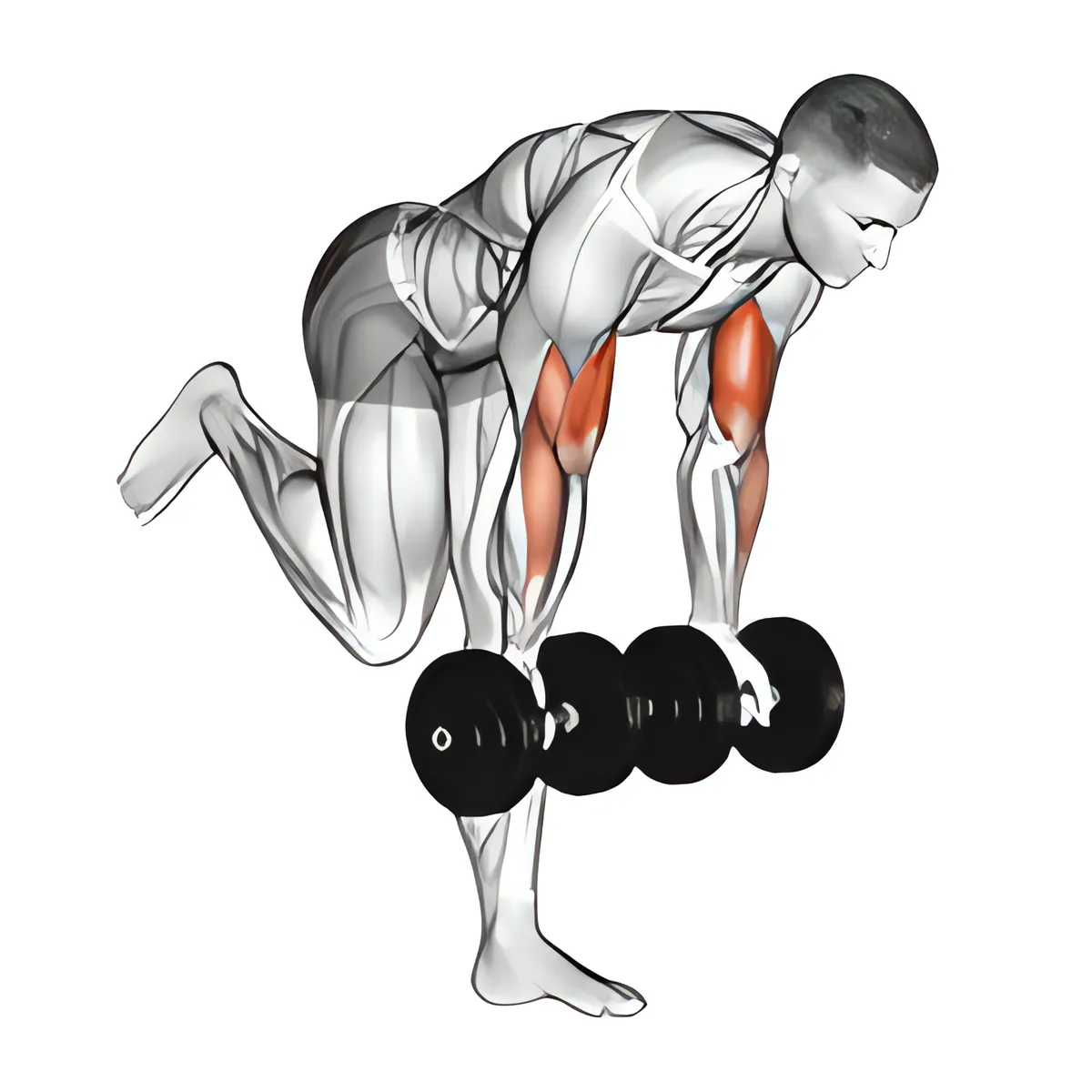Cuốn tay trước với tạ đơn ở tư thế cò