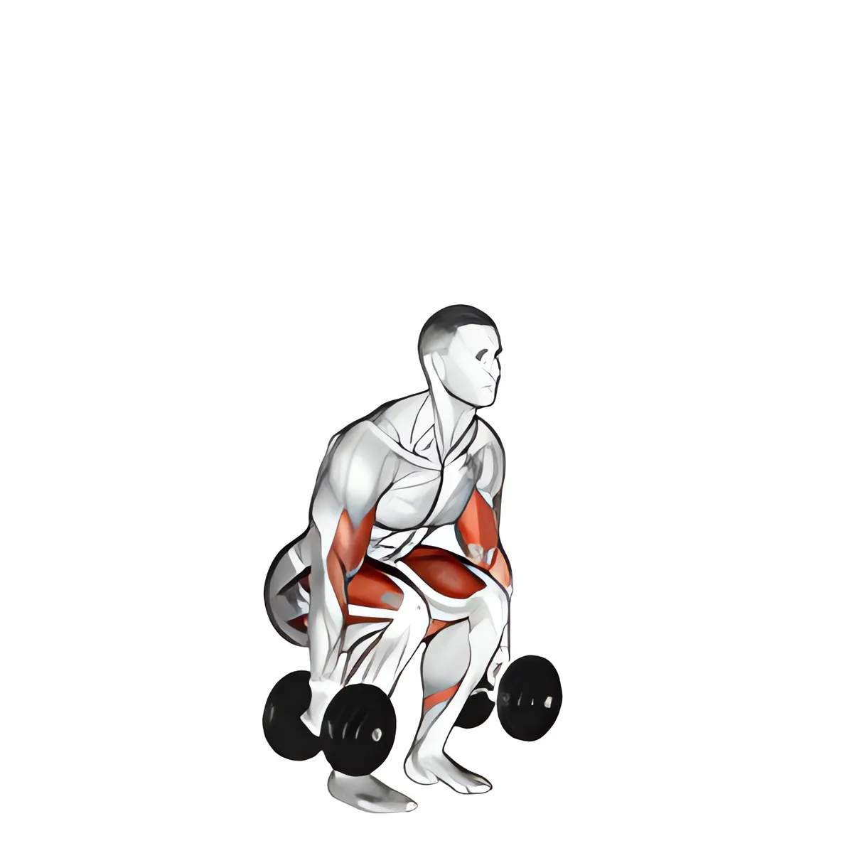 Tạ đơn cuốn tay trước squat