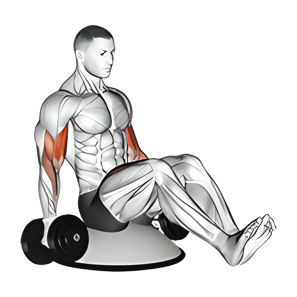 Ngồi chữ V cuốn tay trước với tạ đơn trên bóng Bosu