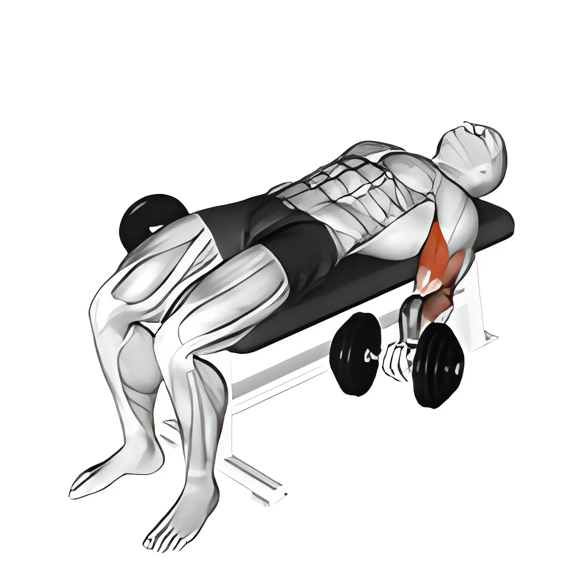 Tạ đơn nằm nằm ngửa cuốn tay trước
