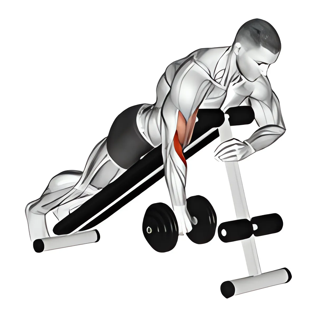 Cuốn tay trước ngược một tay úp ngực trên ghế dốc với tạ đơn