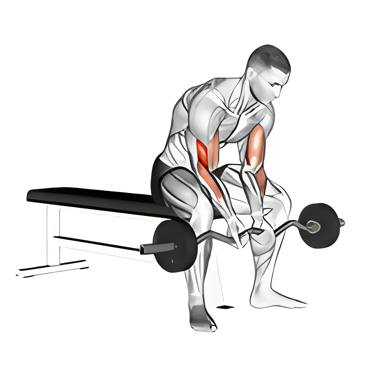 Ngồi cuốn tay trước tập trung tay hẹp với thanh EZ