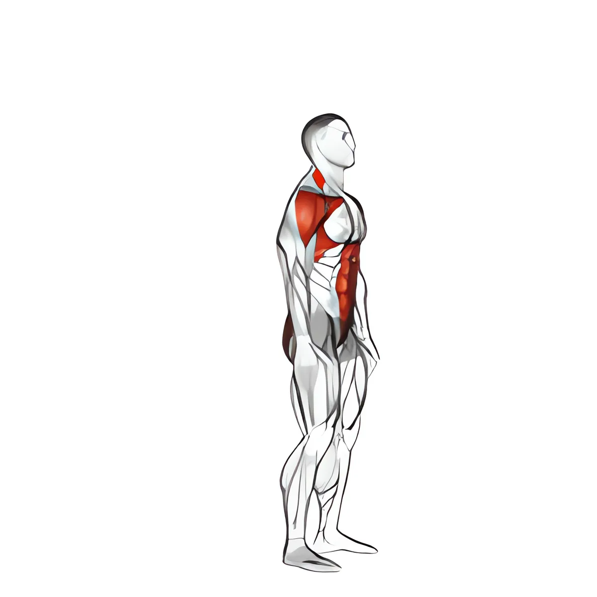 Bước lùi kết hợp vươn tay qua đầu