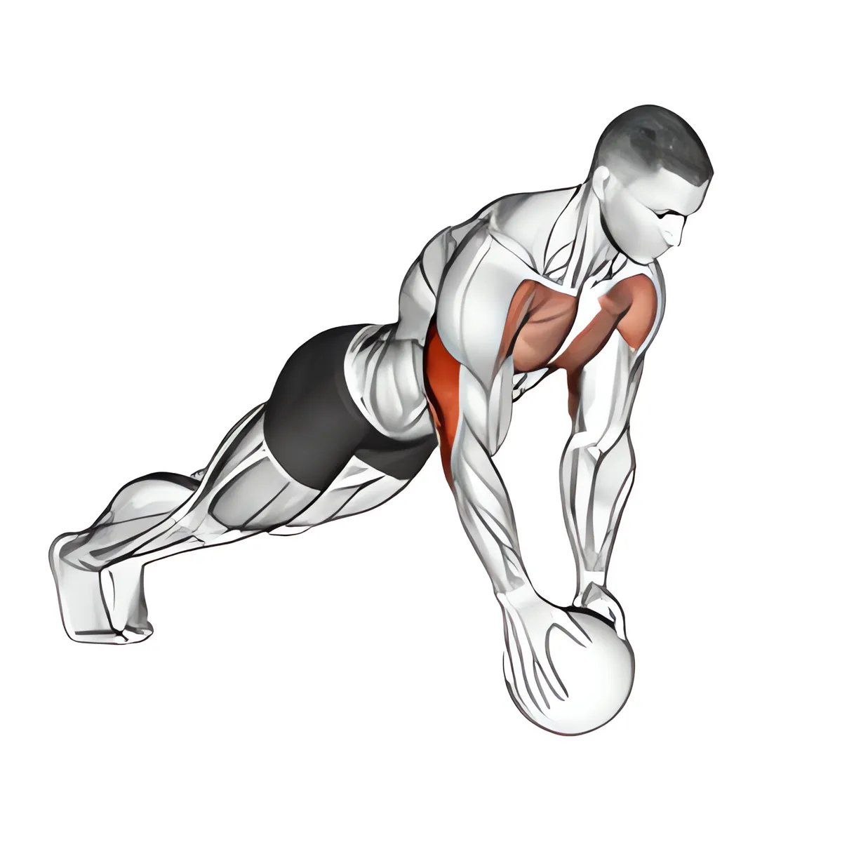 Bóng tạ tay hẹp chống đẩy