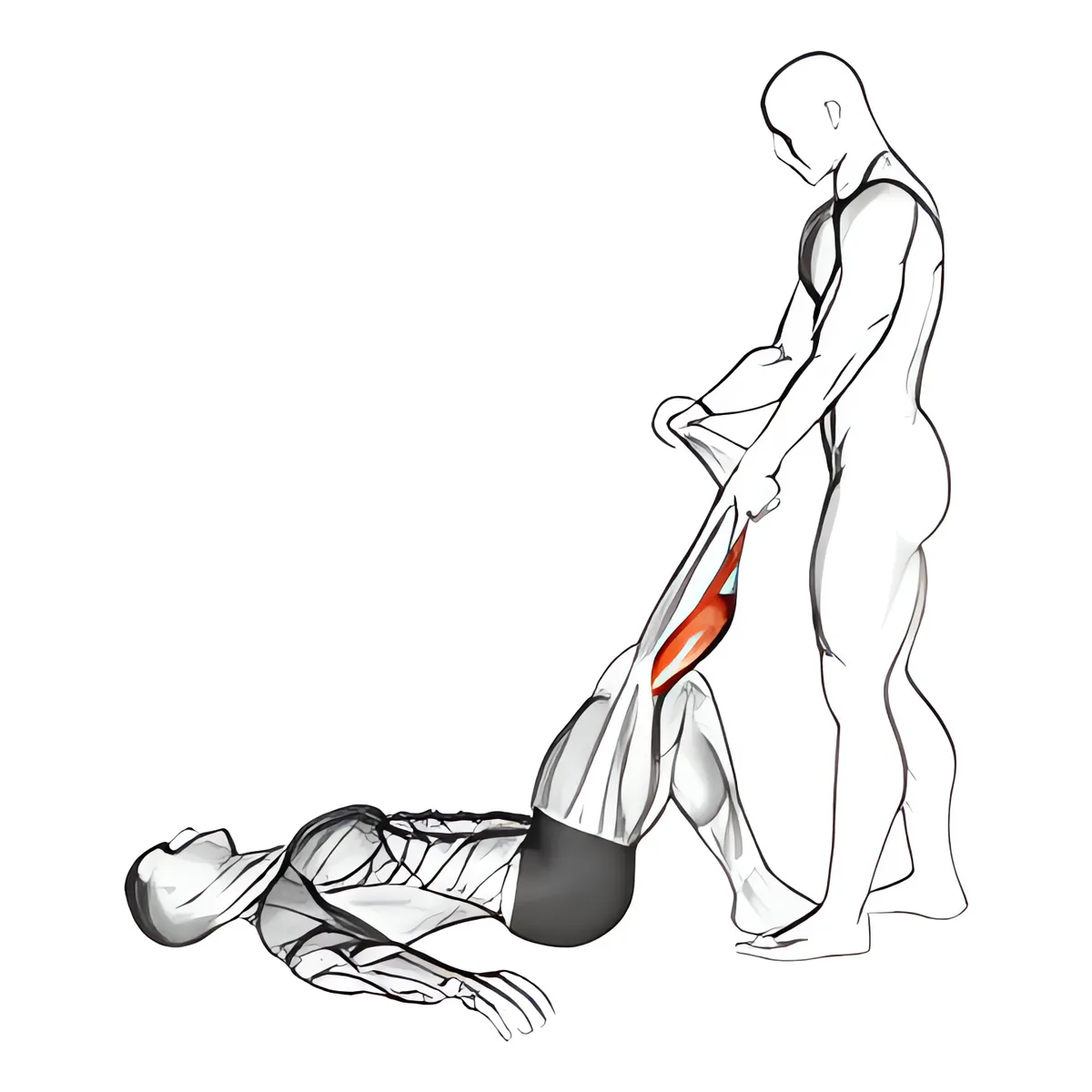 Có hỗ trợ nằm bắp chân kéo giãn