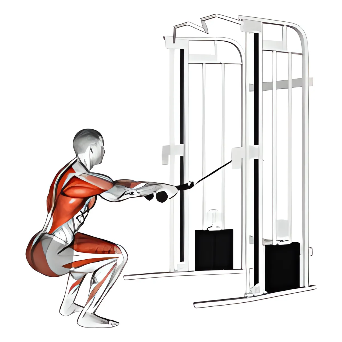 Cáp squat kéo (với dây thừng tay cầm)