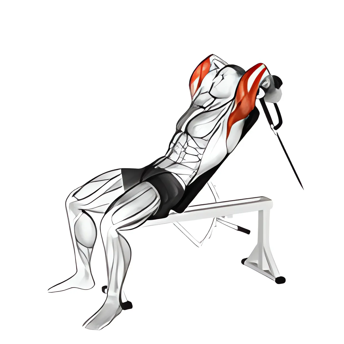 Cáp dây thừng ghế dốc lên tay sau duỗi