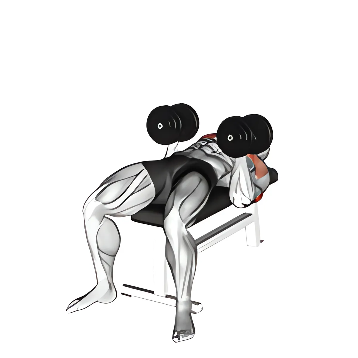Tạ đơn xoay đẩy ngực trên ghế