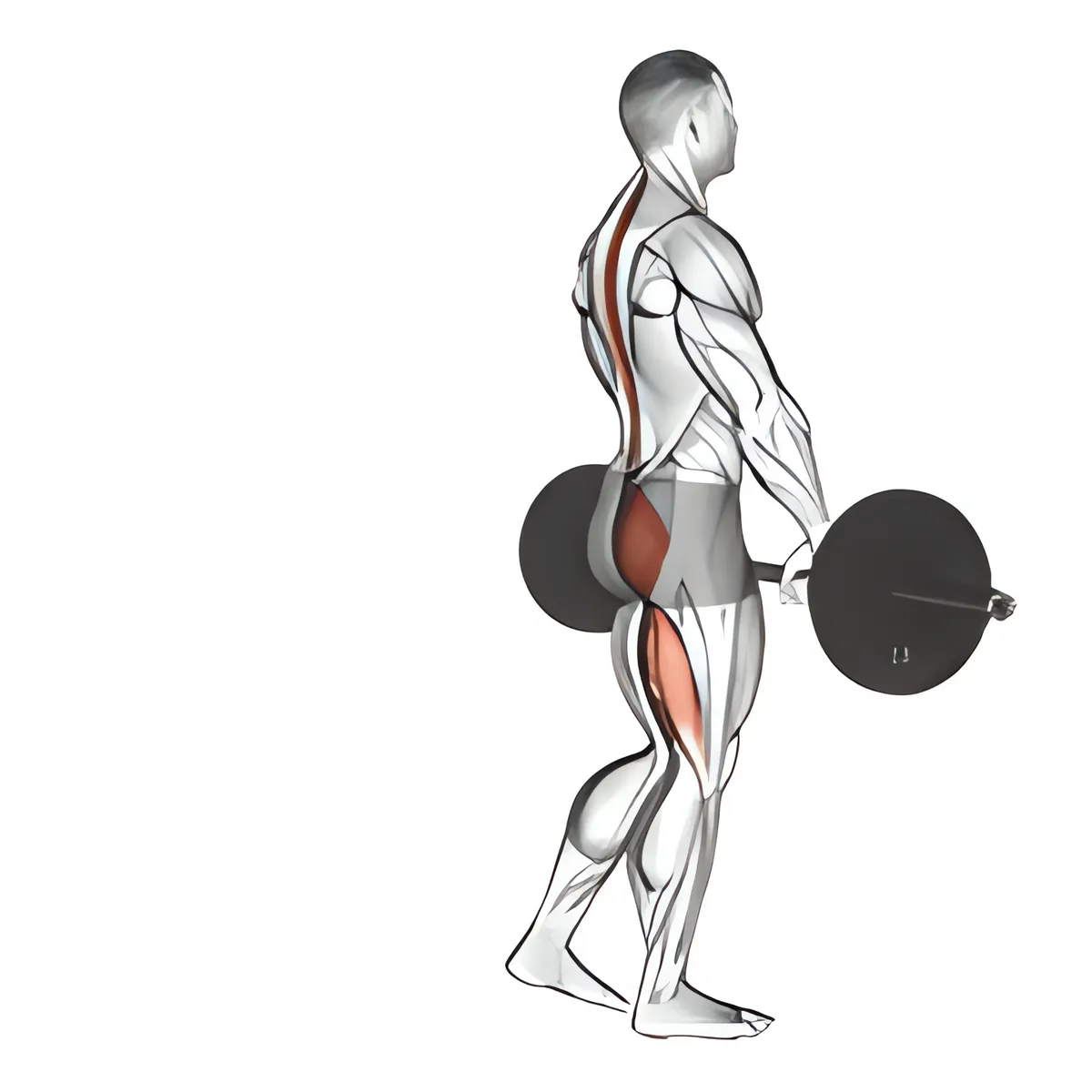 Thanh đòn một chân deadlift