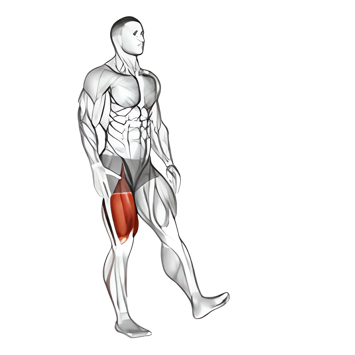 Một chân squat (pistol) nam