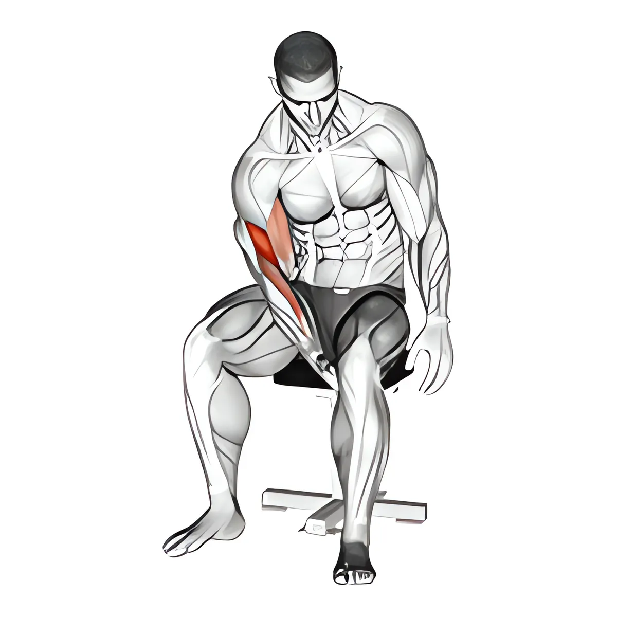 tay trước chân tập trung cuốn tạ