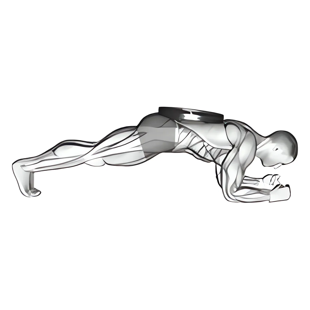 Plank trước có tạ