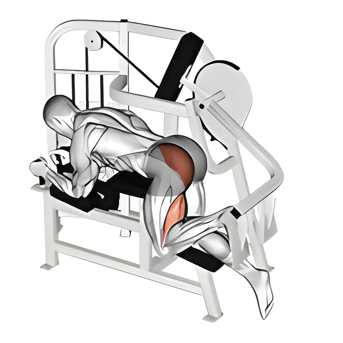 Máy duỗi hông biến thể 2