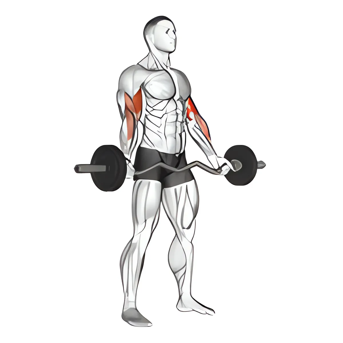 Ez-thanh đòn đứng tay rộng cuốn tay trước
