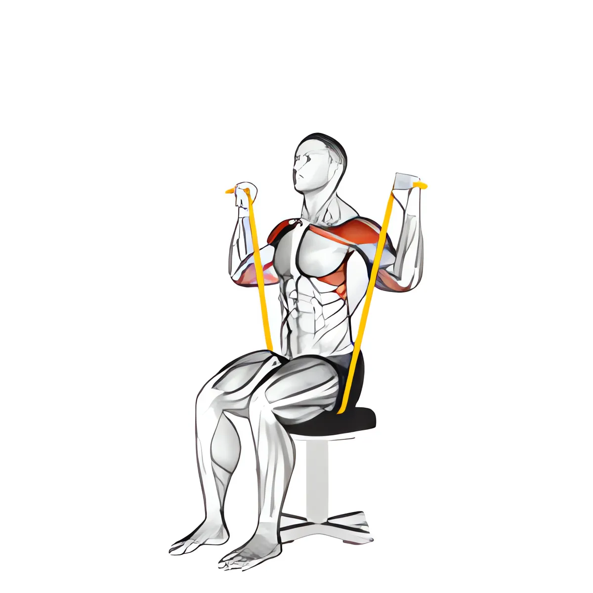 Kháng lực dây kháng lực ngồi đẩy vai
