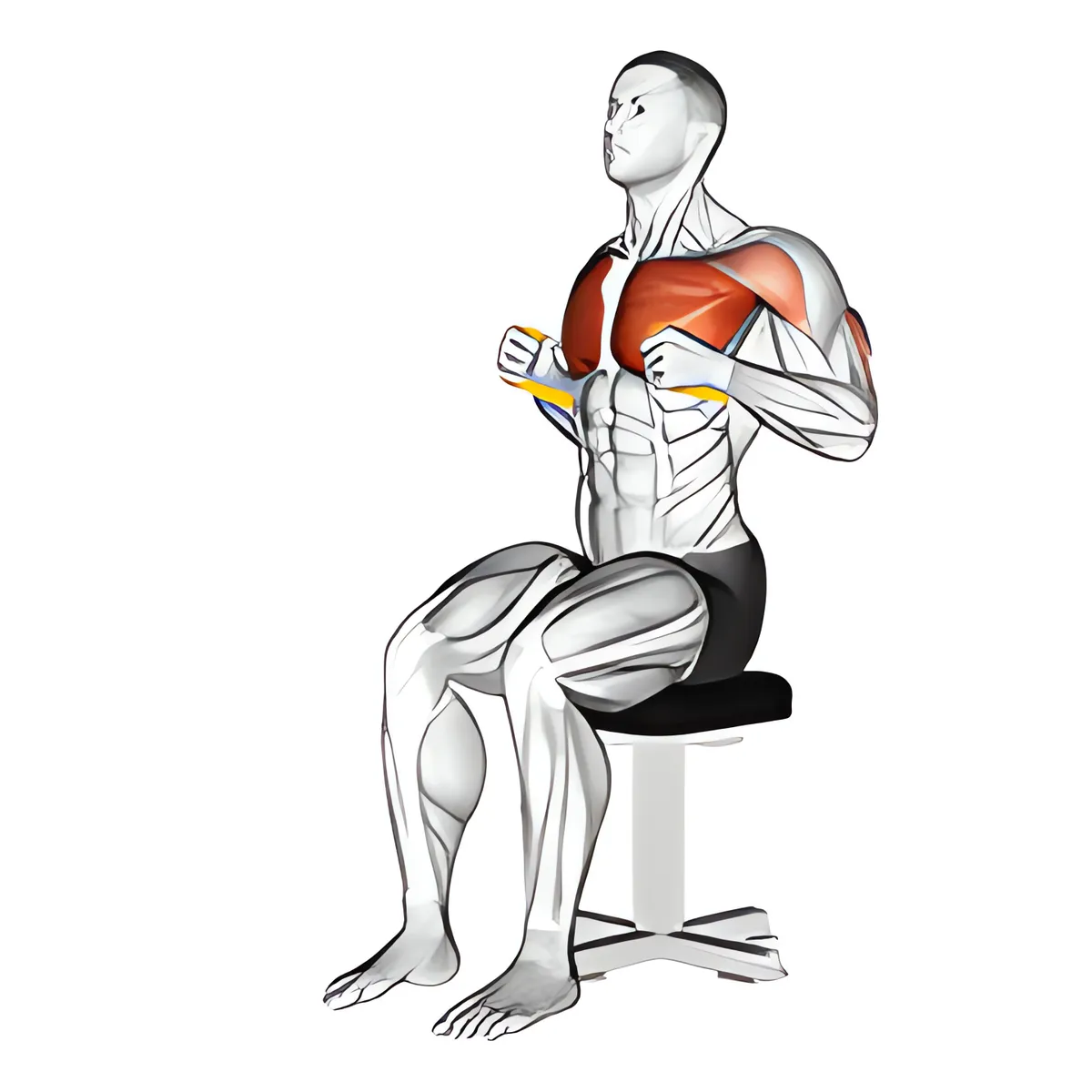 Kháng lực dây kháng lực ngồi đẩy ngực