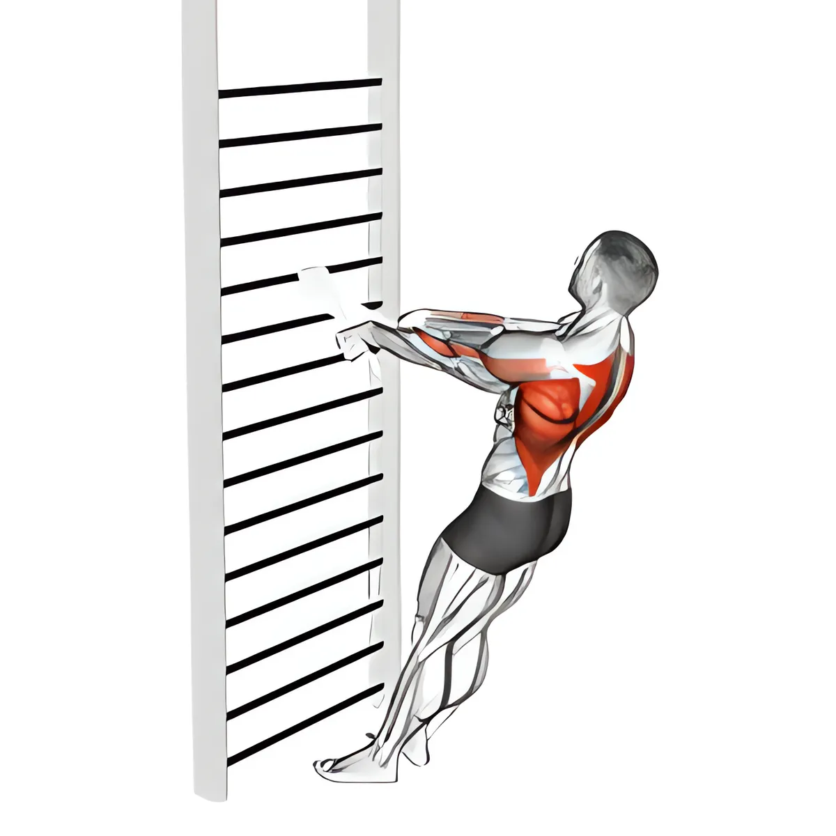 Trọng lượng cơ thể đứng kéo (với khăn)
