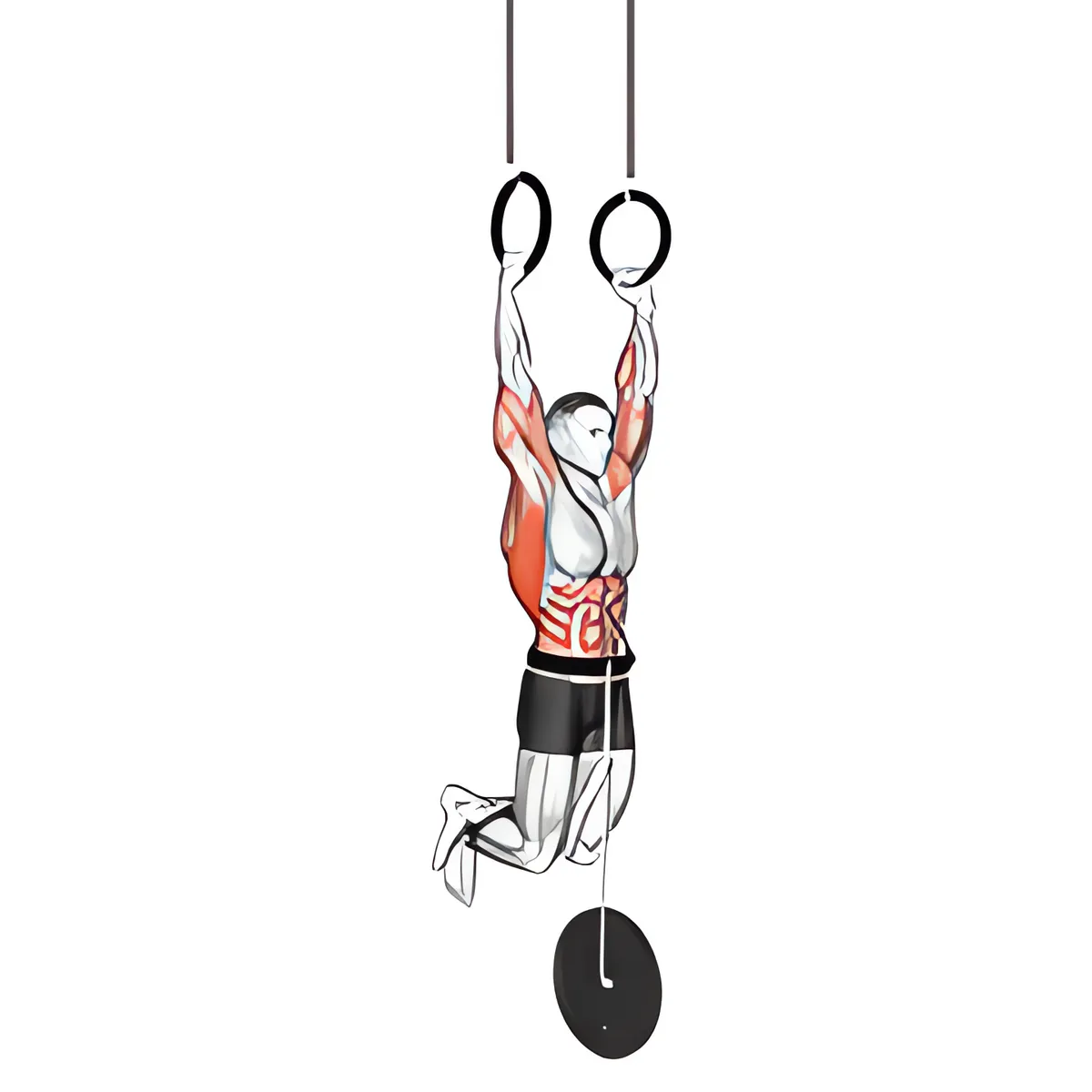 Có tạ muscle up