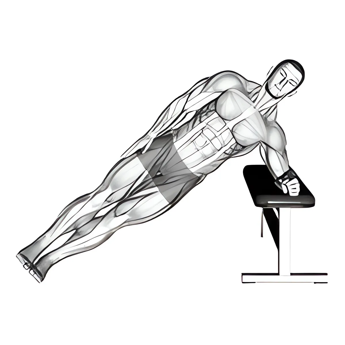 Trọng lượng cơ thể ghế dốc lên bên plank