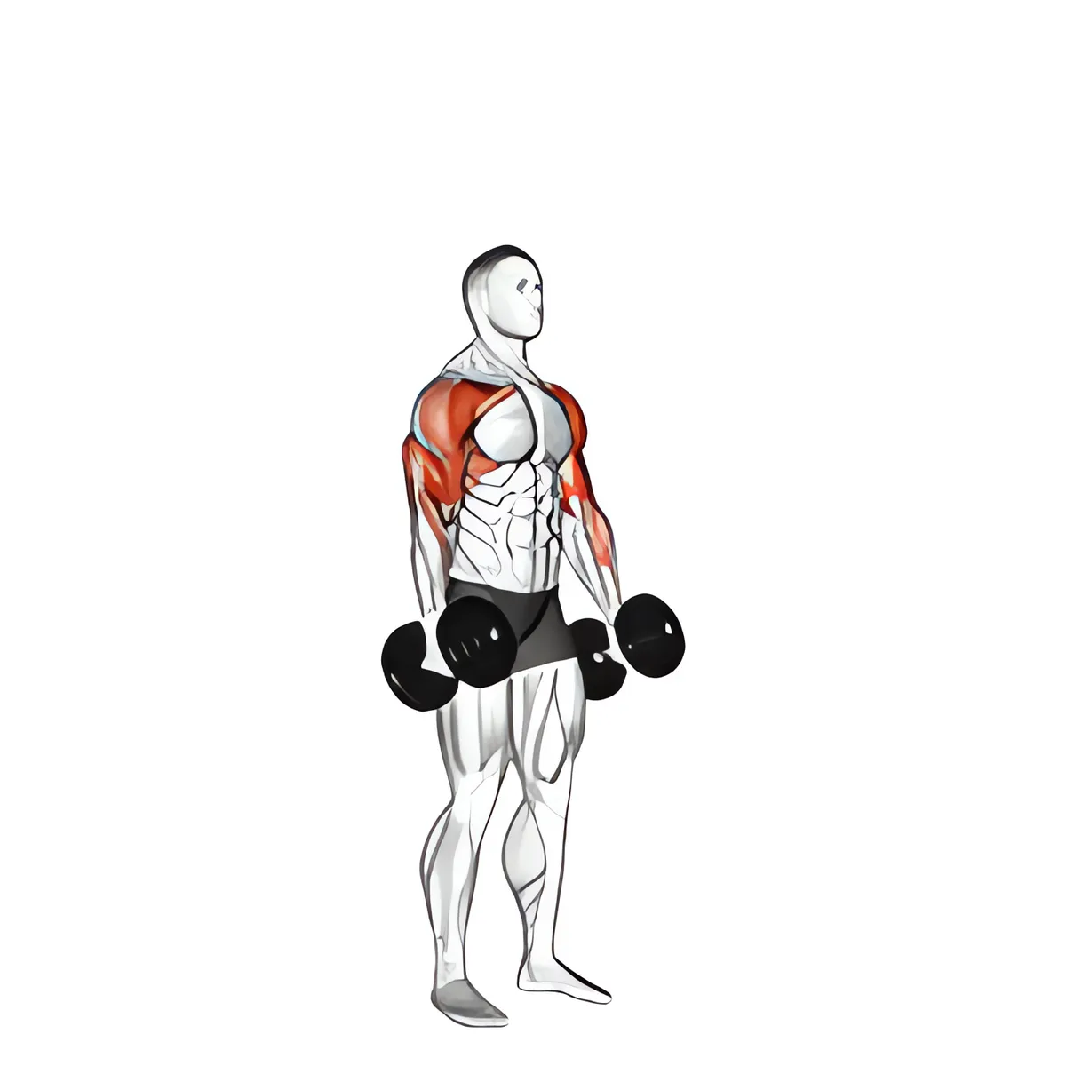 Tạ đơn đứng luân phiên cuốn búa và đẩy