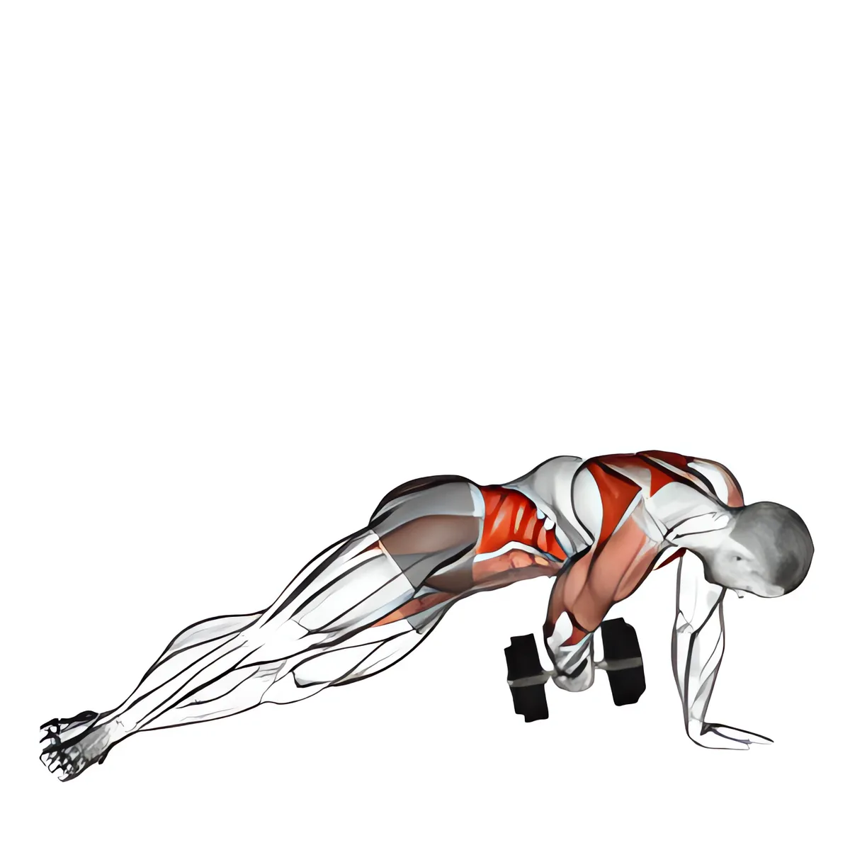 Tạ đơn bên plank với sau ép ngực