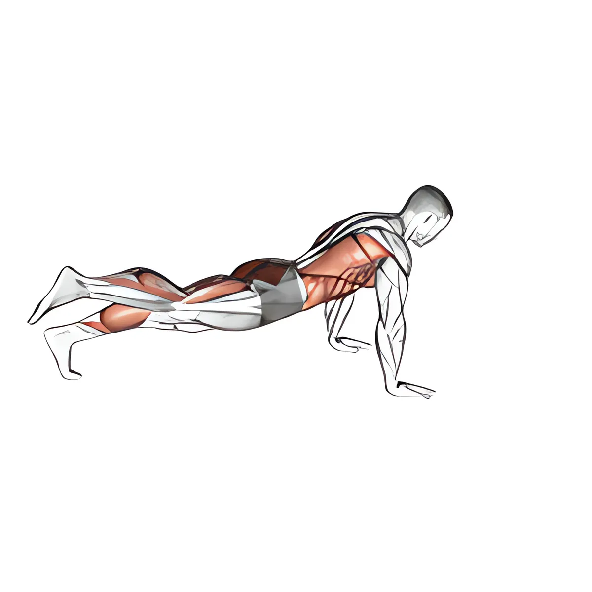 Plank với điểm tựa lực