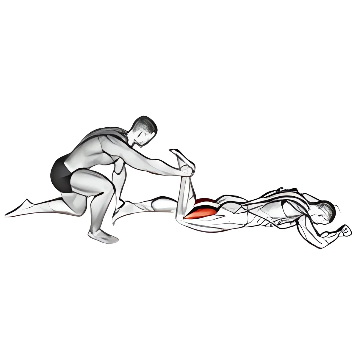 Có hỗ trợ nằm sấp đùi sau