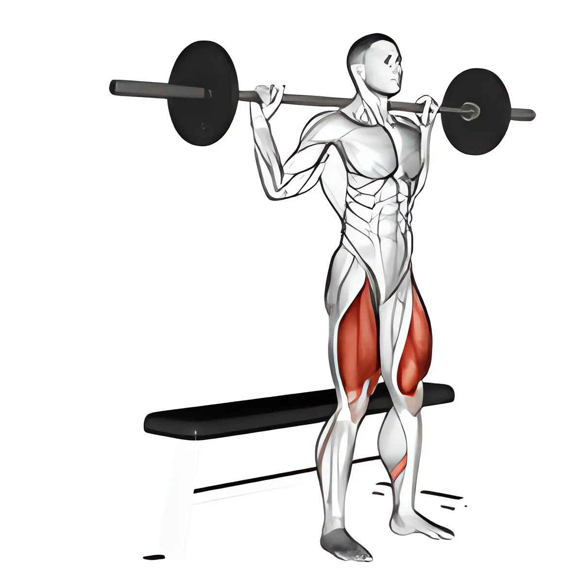 Thanh đòn ghế squat