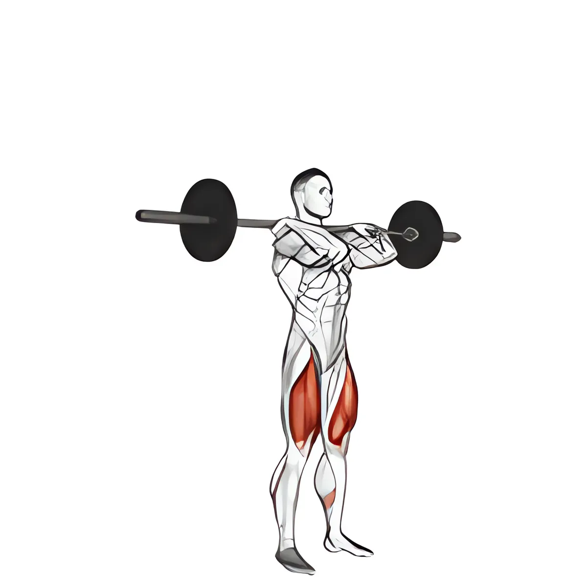Thanh đòn tay nắm kiểu cử tạ squat trước