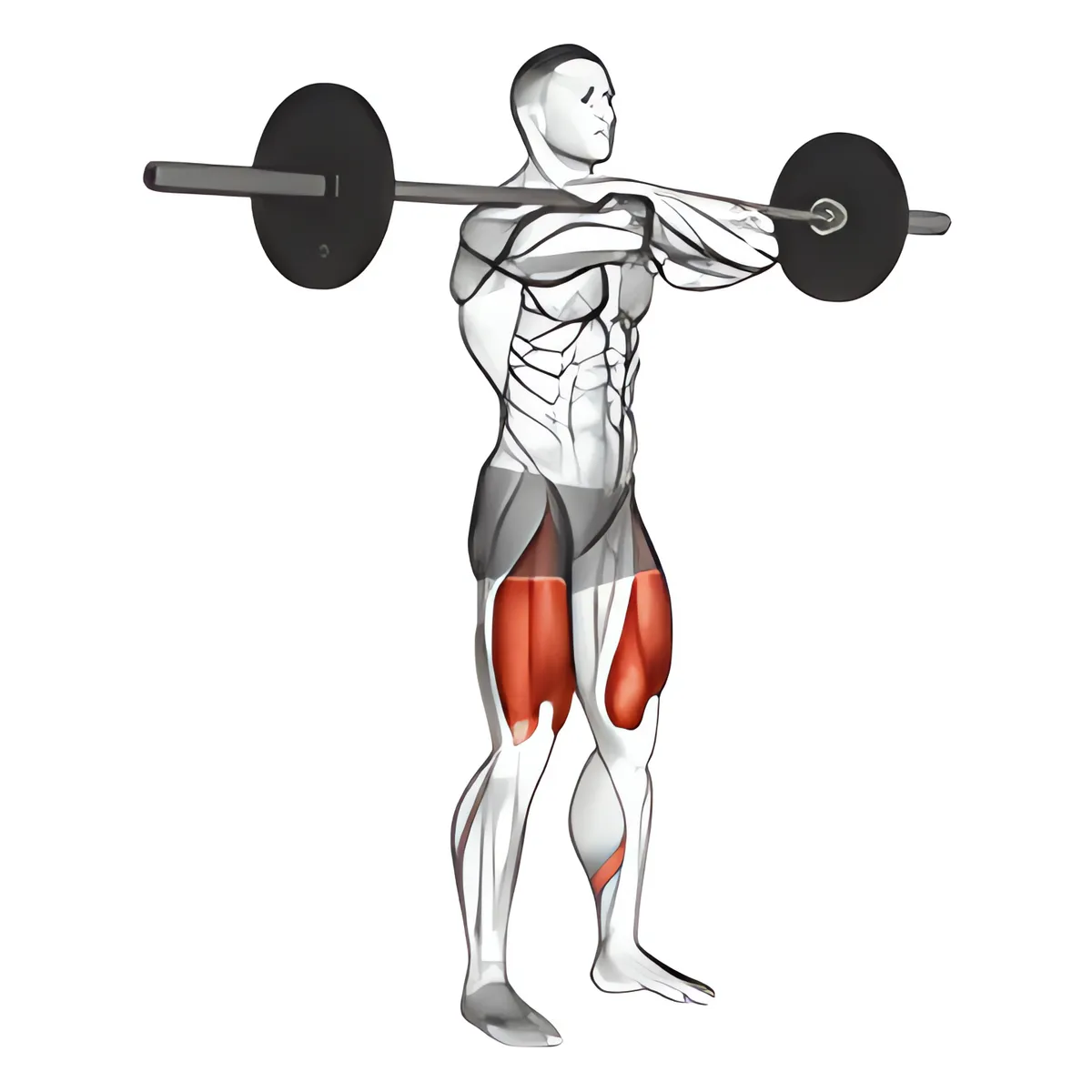 Thanh đòn squat trước