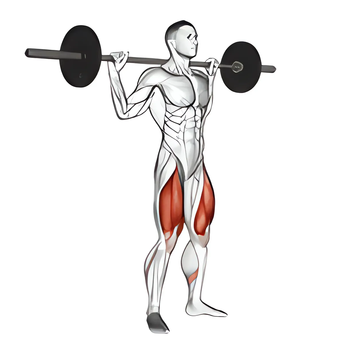 Squat tạ đòn toàn biên độ